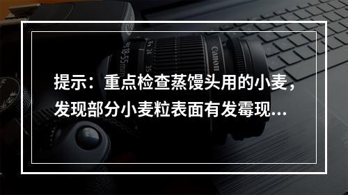 提示：重点检查蒸馒头用的小麦，发现部分小麦粒表面有发霉现象，