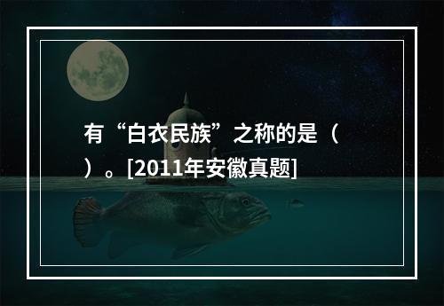 有“白衣民族”之称的是（　　）。[2011年安徽真题]