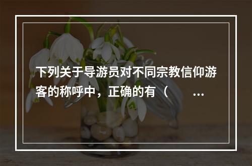 下列关于导游员对不同宗教信仰游客的称呼中，正确的有（　　）