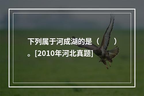 下列属于河成湖的是（　　）。[2010年河北真题]