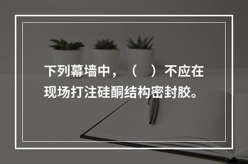 下列幕墙中，（　）不应在现场打注硅酮结构密封胶。