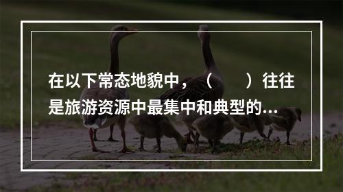 在以下常态地貌中，（　　）往往是旅游资源中最集中和典型的地