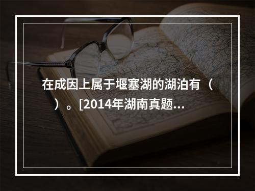 在成因上属于堰塞湖的湖泊有（　　）。[2014年湖南真题]