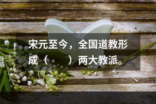 宋元至今，全国道教形成（　　）两大教派。