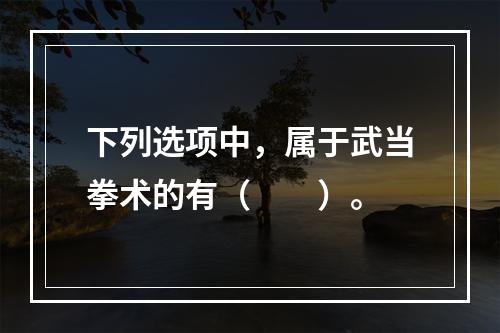 下列选项中，属于武当拳术的有（　　）。