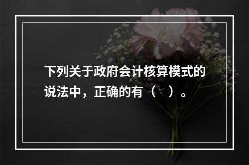 下列关于政府会计核算模式的说法中，正确的有（　）。