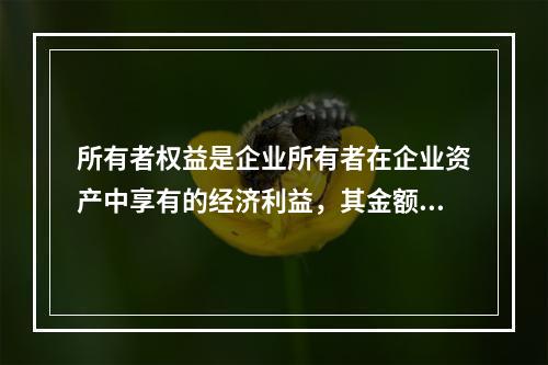 所有者权益是企业所有者在企业资产中享有的经济利益，其金额为企