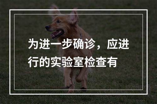 为进一步确诊，应进行的实验室检查有