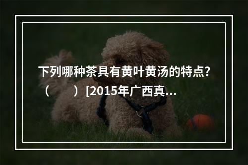 下列哪种茶具有黄叶黄汤的特点？（　　）[2015年广西真题