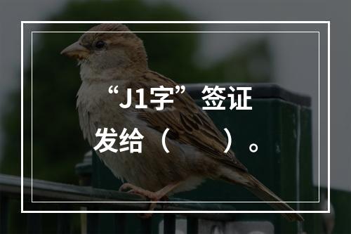 “J1字”签证发给（　　）。