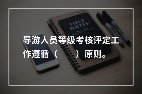 导游人员等级考核评定工作遵循（　　）原则。