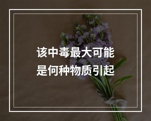 该中毒最大可能是何种物质引起