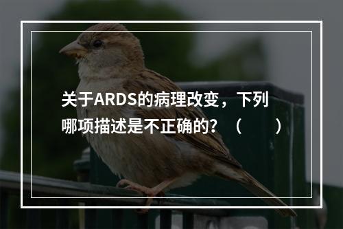 关于ARDS的病理改变，下列哪项描述是不正确的？（　　）