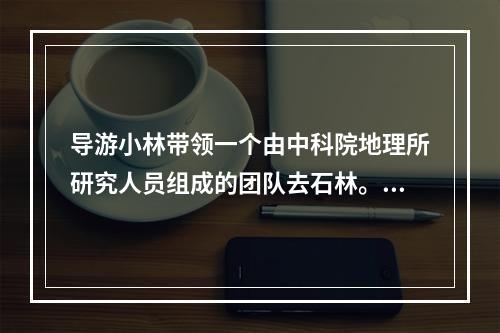 导游小林带领一个由中科院地理所研究人员组成的团队去石林。上