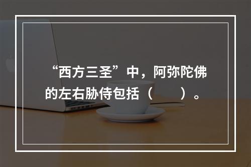 “西方三圣”中，阿弥陀佛的左右胁侍包括（　　）。