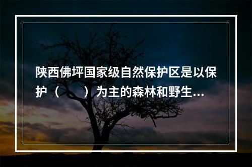 陕西佛坪国家级自然保护区是以保护（　　）为主的森林和野生动