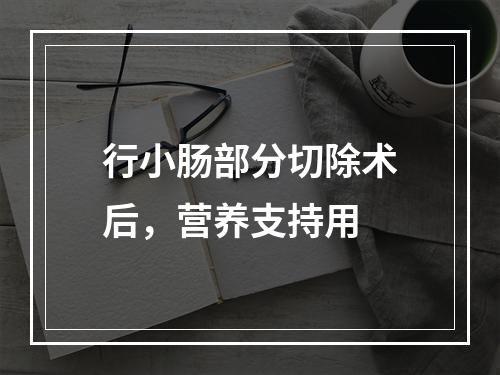 行小肠部分切除术后，营养支持用