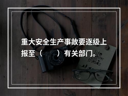 重大安全生产事故要逐级上报至（　　）有关部门。