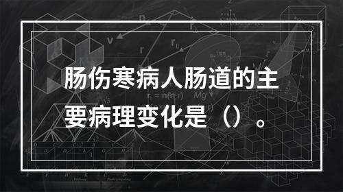 肠伤寒病人肠道的主要病理变化是（）。