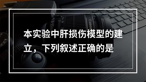 本实验中肝损伤模型的建立，下列叙述正确的是