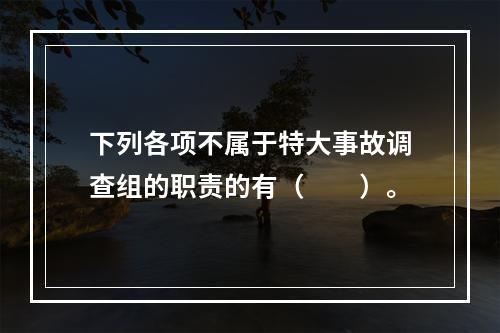 下列各项不属于特大事故调查组的职责的有（　　）。