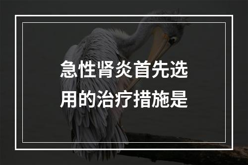 急性肾炎首先选用的治疗措施是