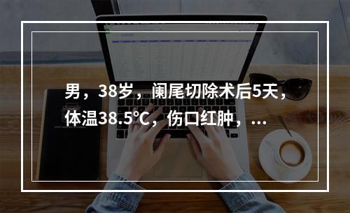 男，38岁，阑尾切除术后5天，体温38.5℃，伤口红肿，有波