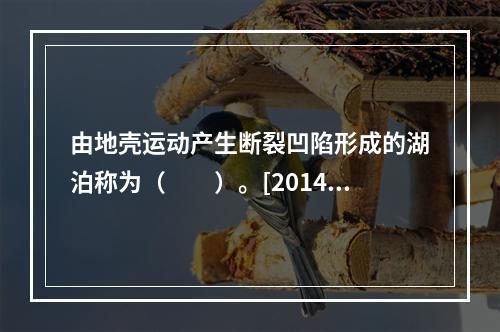 由地壳运动产生断裂凹陷形成的湖泊称为（　　）。[2014年