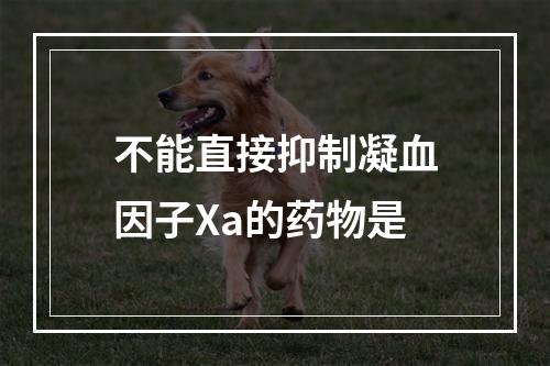 不能直接抑制凝血因子Xa的药物是