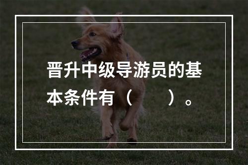 晋升中级导游员的基本条件有（　　）。