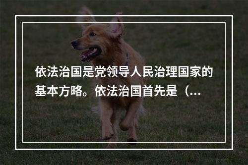 依法治国是党领导人民治理国家的基本方略。依法治国首先是（　