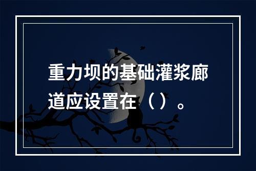 重力坝的基础灌浆廊道应设置在（ ）。