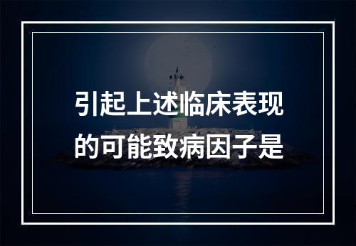 引起上述临床表现的可能致病因子是