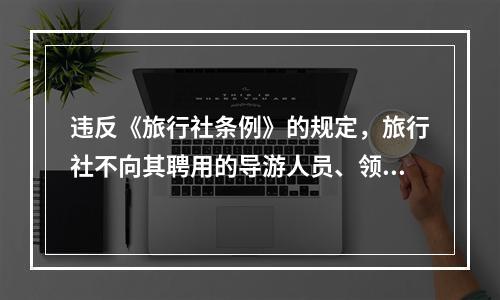 违反《旅行社条例》的规定，旅行社不向其聘用的导游人员、领队