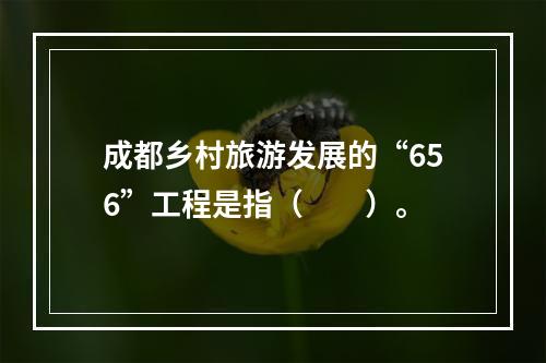 成都乡村旅游发展的“656”工程是指（　　）。