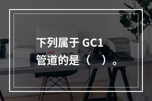 下列属于 GC1 管道的是（　）。