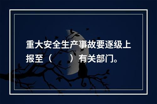 重大安全生产事故要逐级上报至（　　）有关部门。