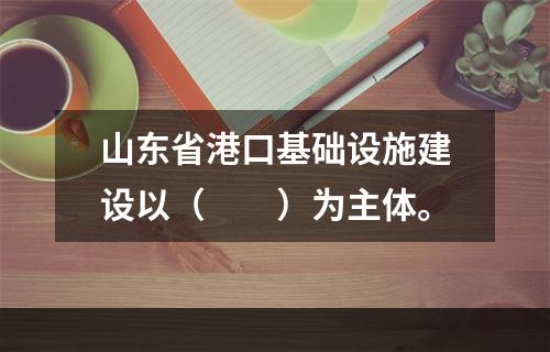 山东省港口基础设施建设以（　　）为主体。