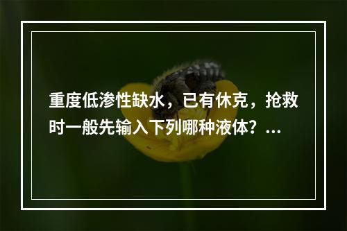 重度低渗性缺水，已有休克，抢救时一般先输入下列哪种液体？（　