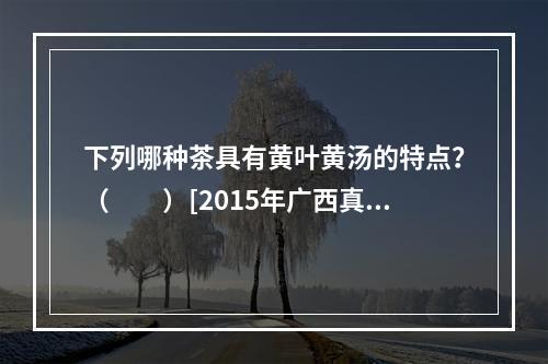 下列哪种茶具有黄叶黄汤的特点？（　　）[2015年广西真题