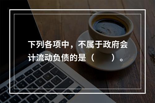 下列各项中，不属于政府会计流动负债的是（　　）。