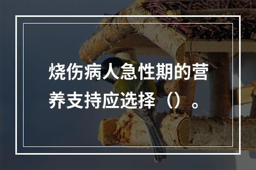 烧伤病人急性期的营养支持应选择（）。