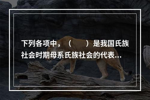 下列各项中，（　　）是我国氏族社会时期母系氏族社会的代表人