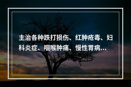 主治各种跌打损伤、红肿疮毒、妇科炎症、咽喉肿痛、慢性胃病的