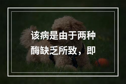 该病是由于两种酶缺乏所致，即