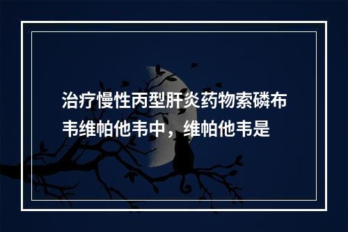 治疗慢性丙型肝炎药物索磷布韦维帕他韦中，维帕他韦是