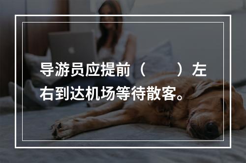 导游员应提前（　　）左右到达机场等待散客。