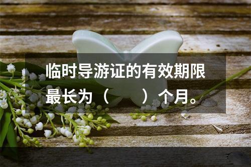 临时导游证的有效期限最长为（　　）个月。