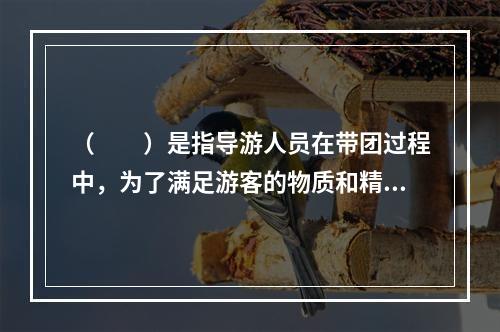 （　　）是指导游人员在带团过程中，为了满足游客的物质和精神需