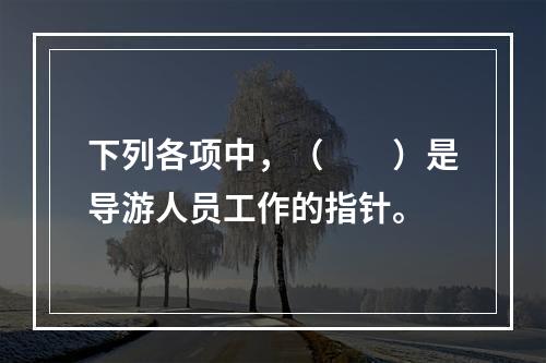 下列各项中，（　　）是导游人员工作的指针。